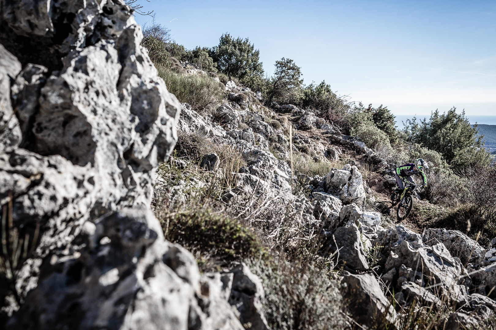 Berglauf Pur, Helmut Reitmeir - World Championship UPHILL/DOWNHILL